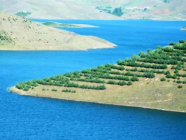 مکالمه رایگان ایرانسل به مناسبت روز کردستان